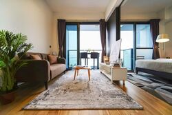 Skysuites@Anson (D2), Apartment #576367581